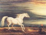 James Ward Napoleon's Horse,Marengo at Waterloo china oil painting reproduction